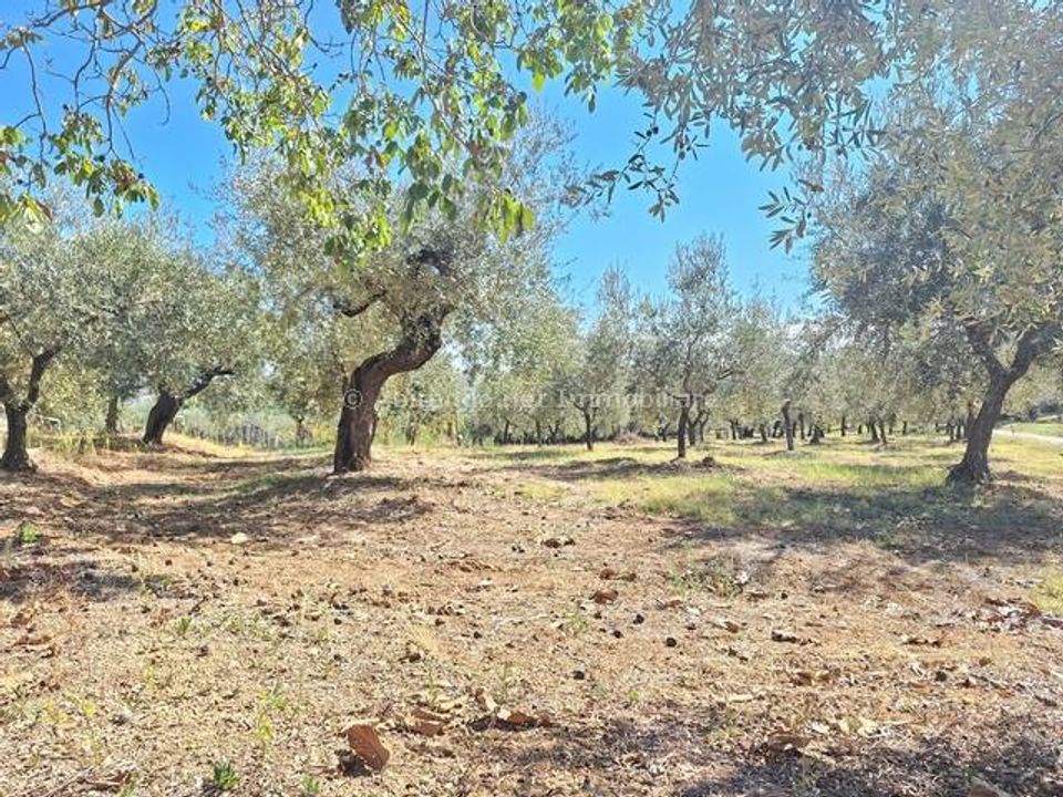 Villa i Penne, Pescara - bilde 5