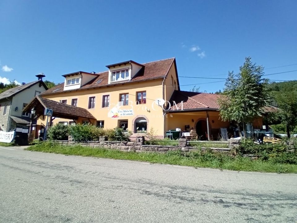 Erhvervsejendom i Ranrupt, Bas-Rhin - foto 1