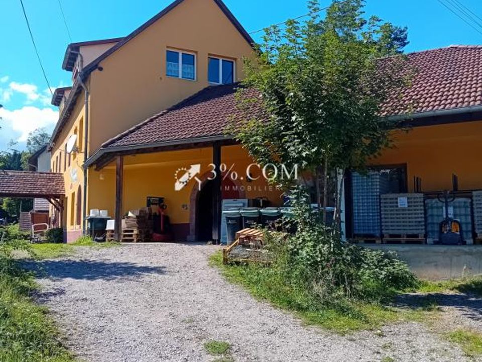Erhvervsejendom i Ranrupt, Bas-Rhin - foto 3