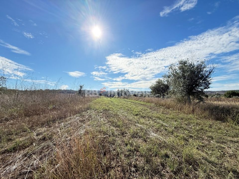 Helårsgrund i Abrantes, Santarem - foto 1