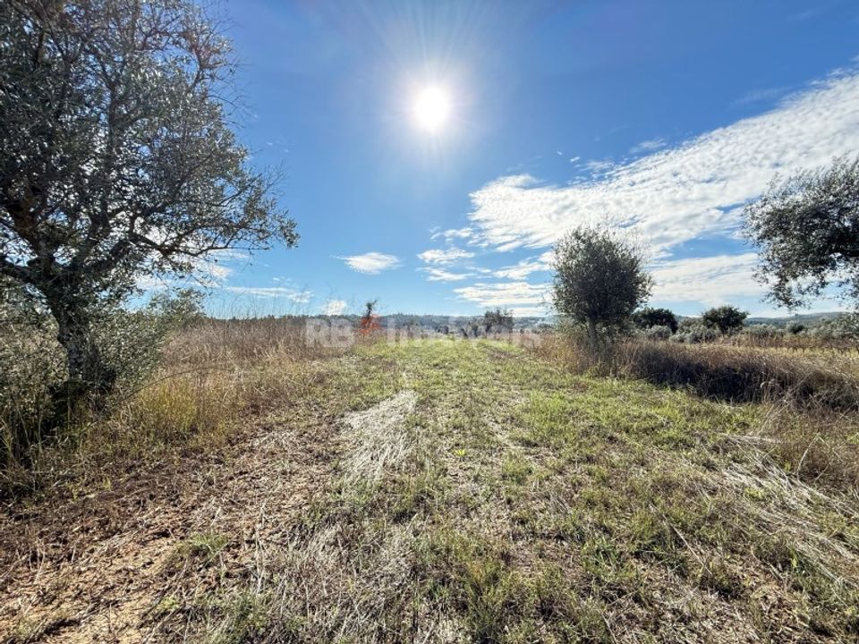 Helårsgrund i Abrantes, Santarem - foto 2