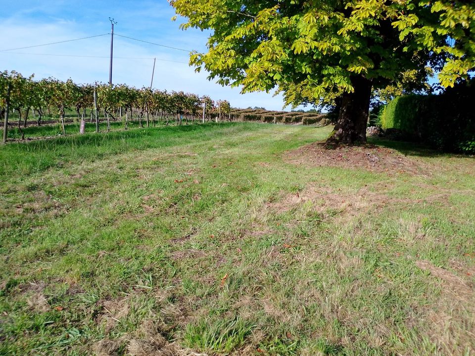 Villa i Jonzac, Charente-Maritime - foto 4