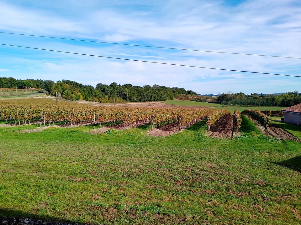 Villa i Jonzac, Charente-Maritime - foto 3