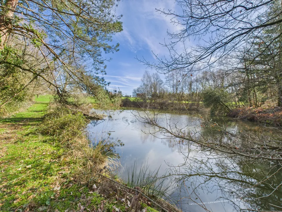 Villa i Champniers-et-Reilhac, Dordogne - foto 4