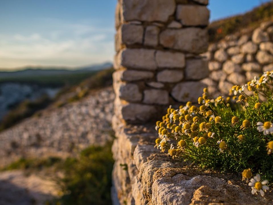Villa i Bonifacio, Corse-du-Sud - foto 1