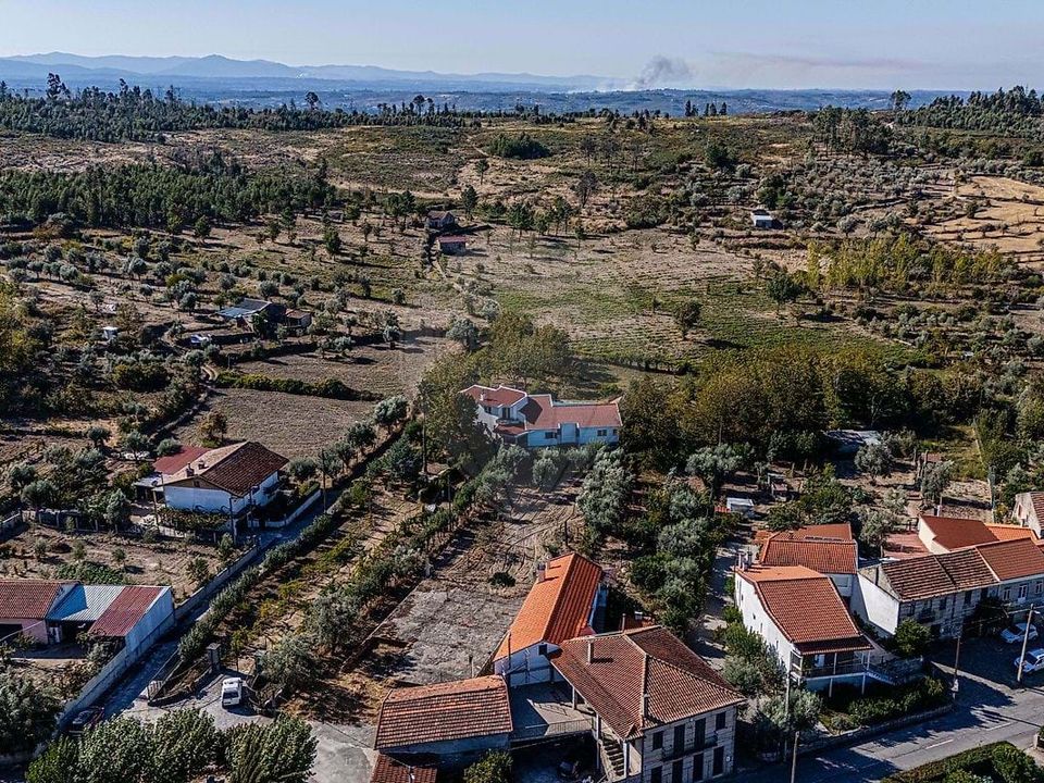 Farm hus i Nelas, Viseu - foto 3