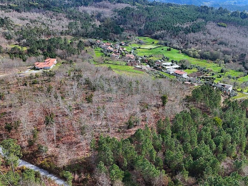 Boerderij in Viseu, Viseu - foto 1