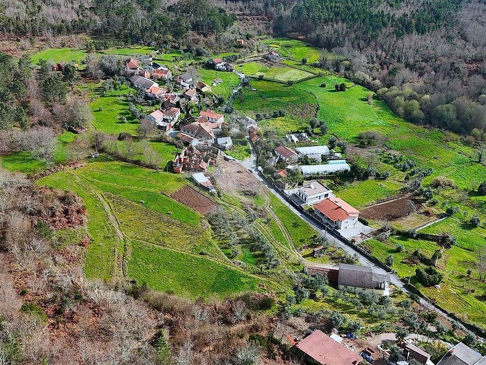 Boerderij in Viseu, Viseu - foto 2