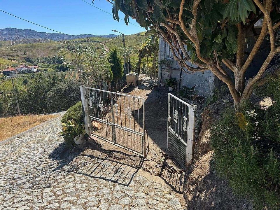 Villa a Sao Joao da Pesqueira, Viseu - foto 3