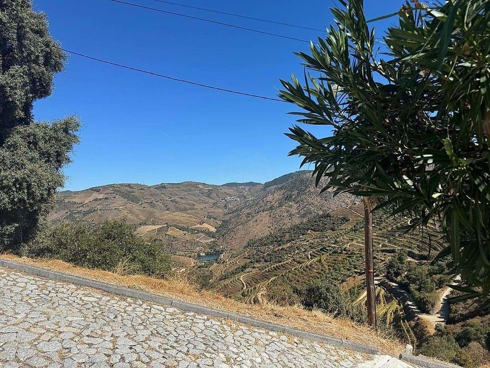 Villa a Sao Joao da Pesqueira, Viseu - foto 4