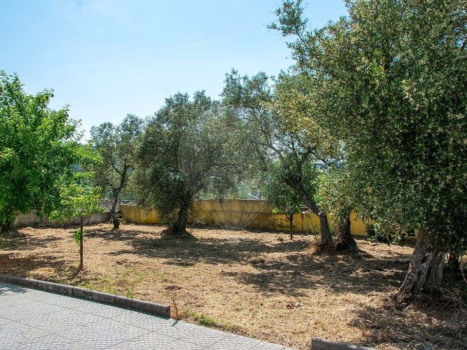 Villa i Sao Joao da Pesqueira, Viseu - foto 5
