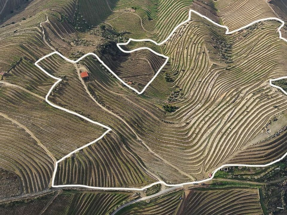 Farm hus i Sao Joao da Pesqueira, Viseu - foto 2
