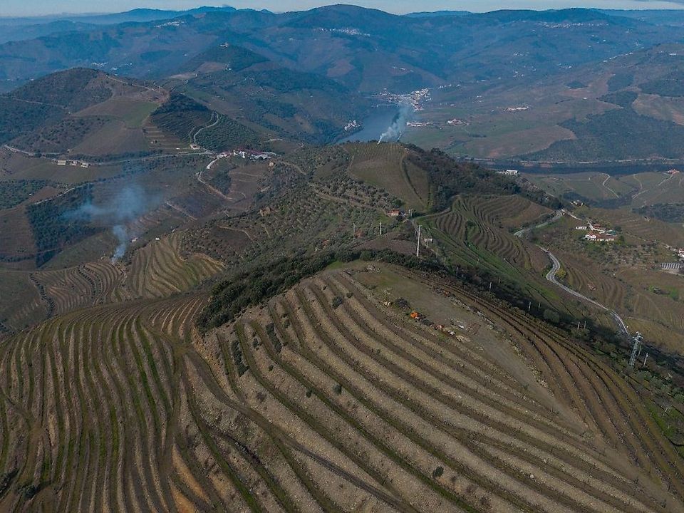 Farm hus i Sao Joao da Pesqueira, Viseu - foto 3