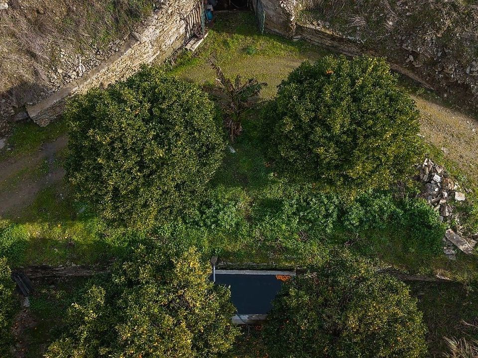Farm hus i Sao Joao da Pesqueira, Viseu - foto 4