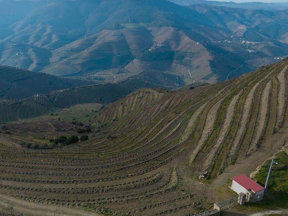 Gårdshus i Sao Joao da Pesqueira, Viseu - bilde 1