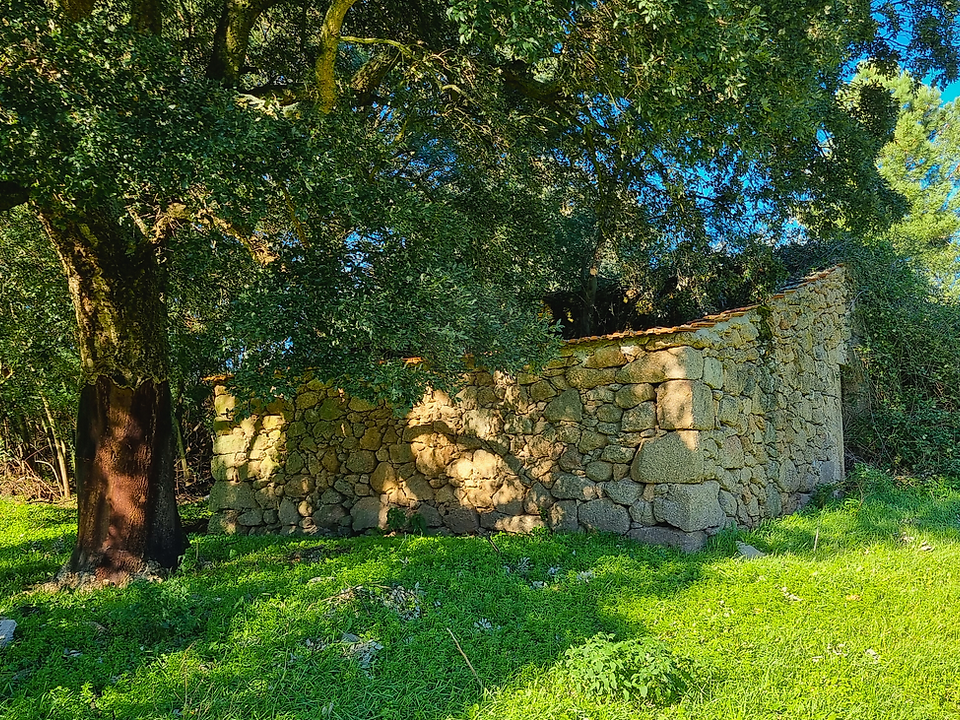 Farm hus i Gouveia, Guarda - foto 4