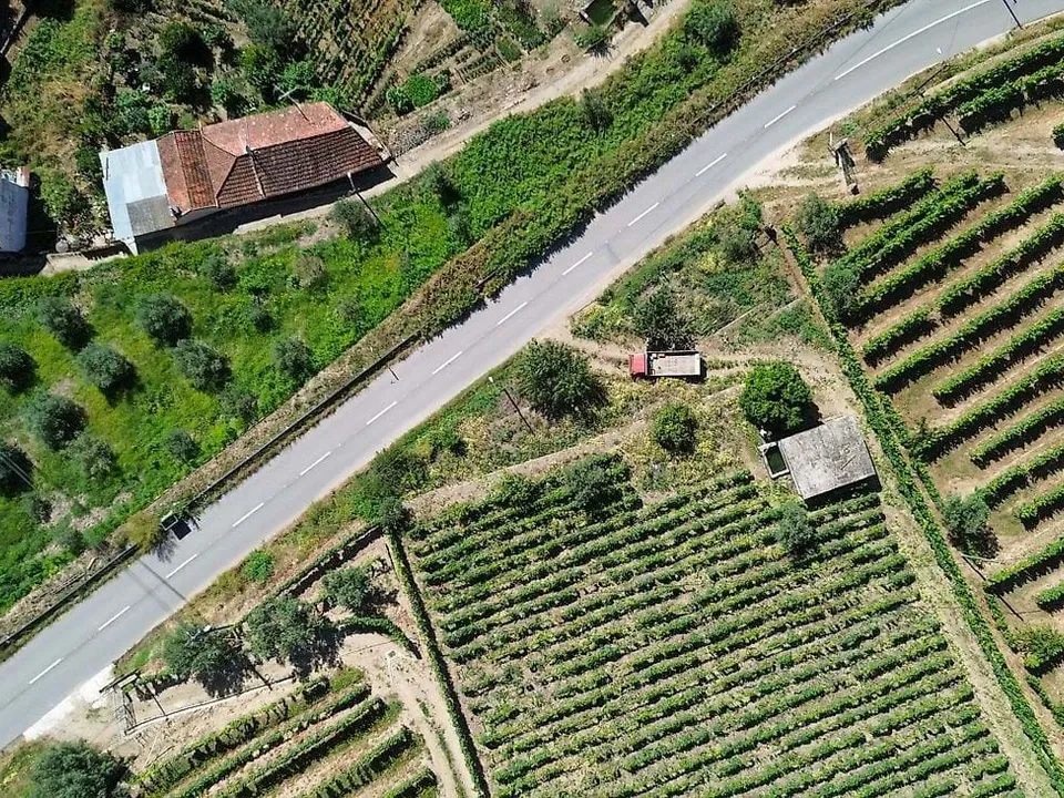 Gårdshus i Lamego, Viseu - bilde 2