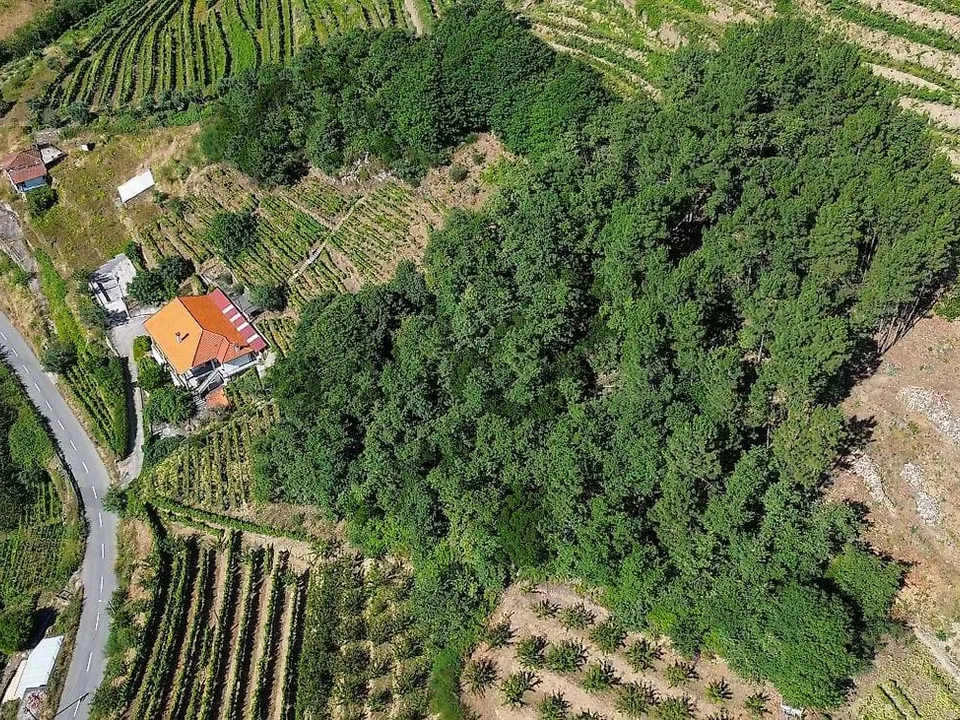 Gårdshus i Lamego, Viseu - bilde 4