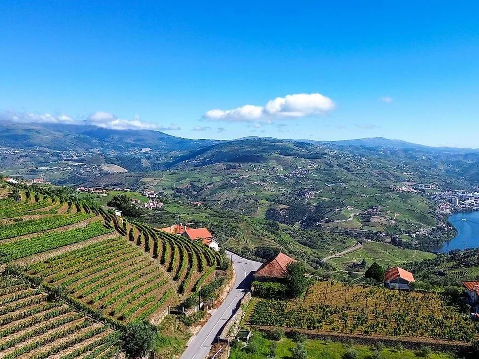 Gårdshus i Lamego, Viseu - bilde 1