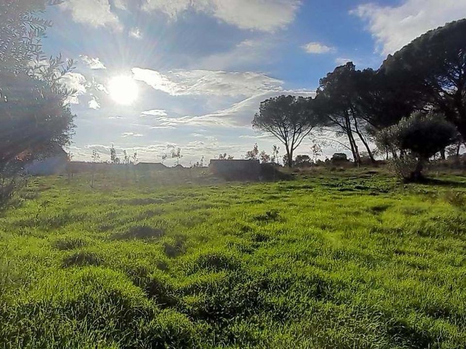 Farm hus i Seia, Guarda - foto 2