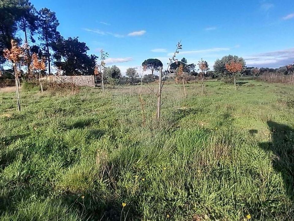 Farm hus i Seia, Guarda - foto 4