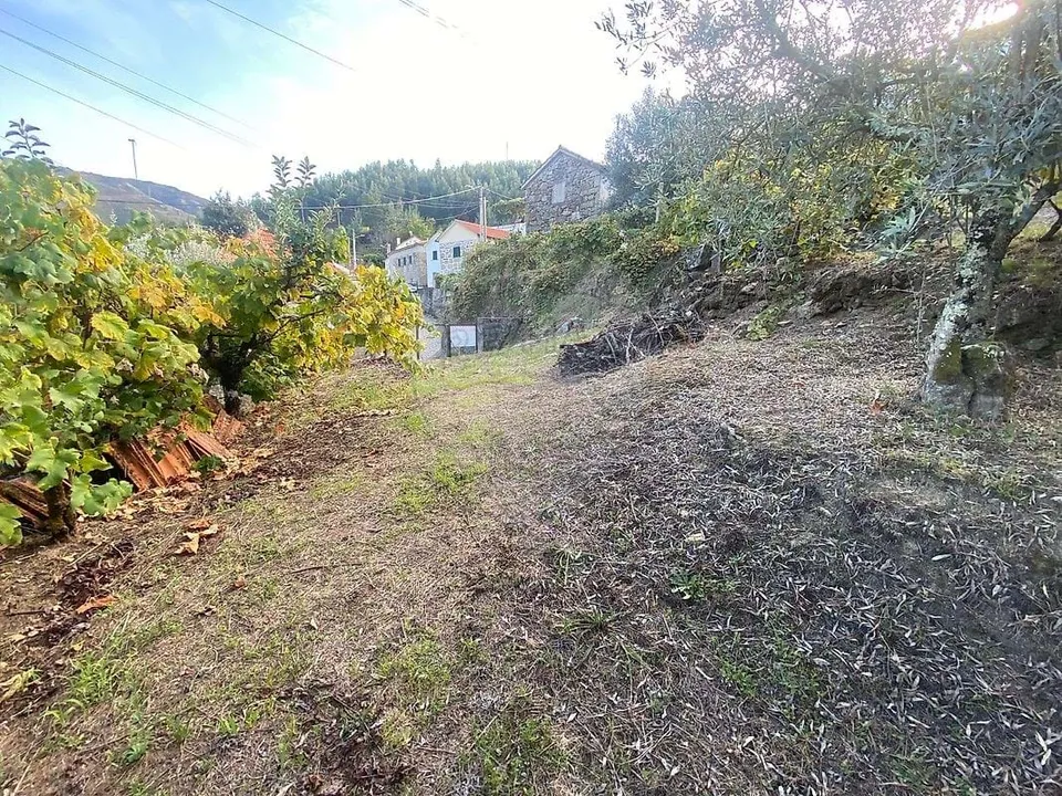 Villa en Vouzela, Viseu - foto 5