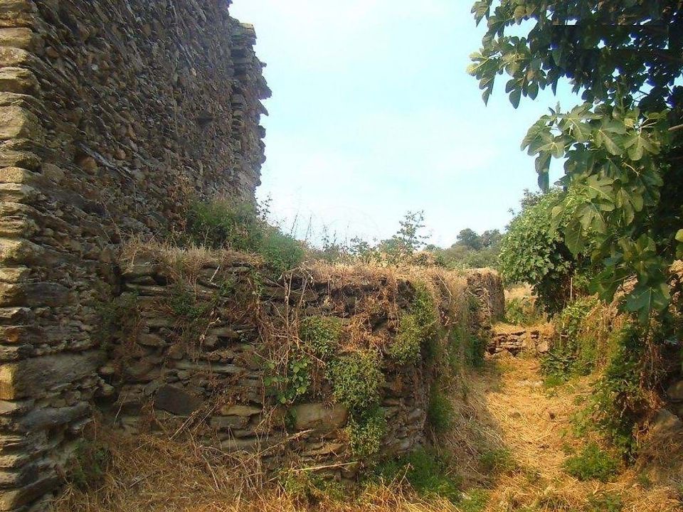 Villa i Sao Joao da Pesqueira, Viseu - foto 3