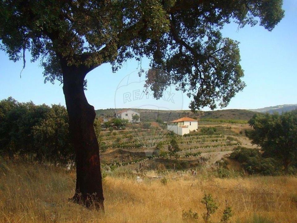 Villa a Sao Joao da Pesqueira, Viseu - foto 3