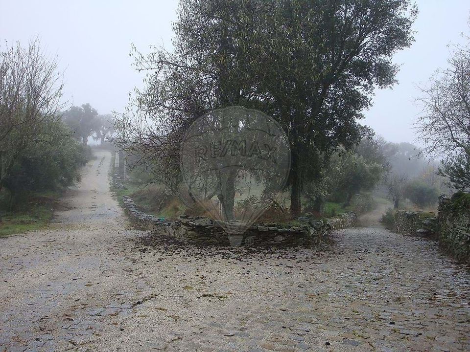Villa a Sao Joao da Pesqueira, Viseu - foto 4