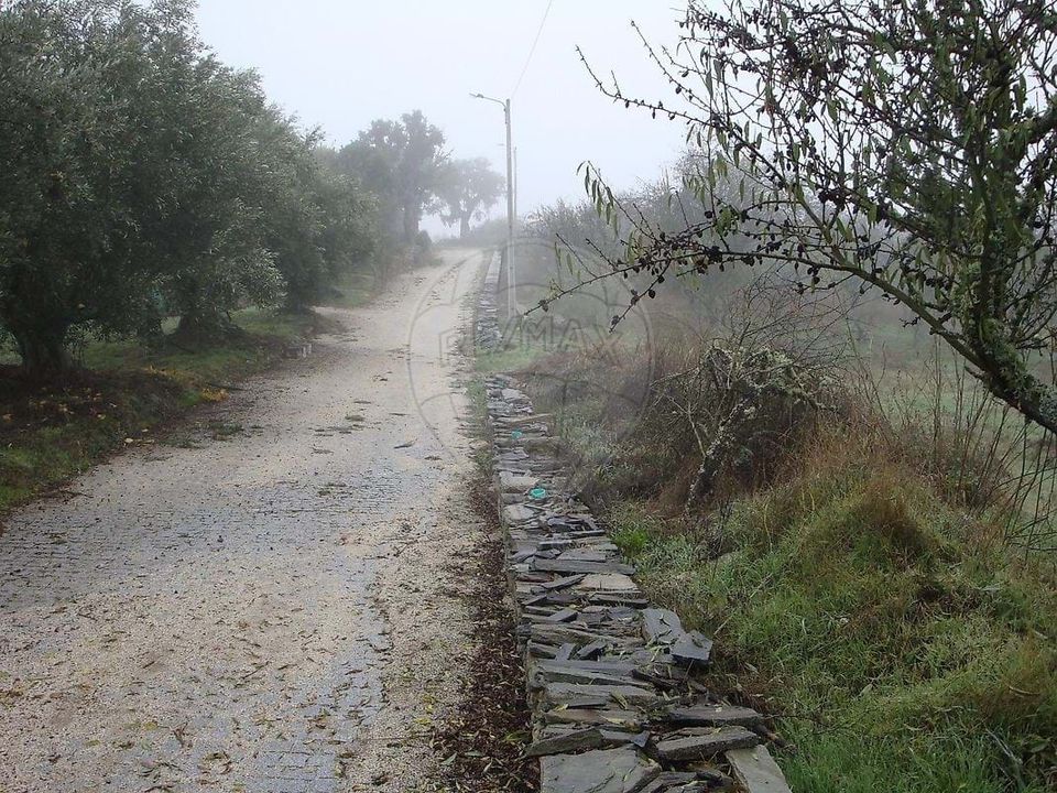 Villa a Sao Joao da Pesqueira, Viseu - foto 5