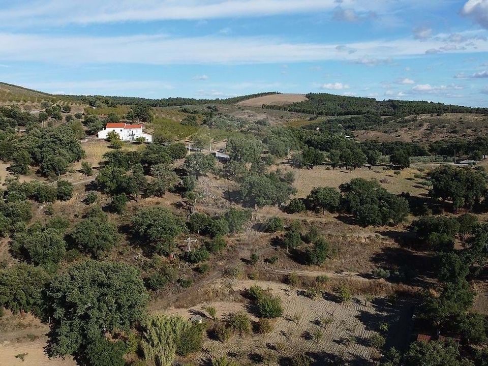 Villa a Sao Joao da Pesqueira, Viseu - foto 1