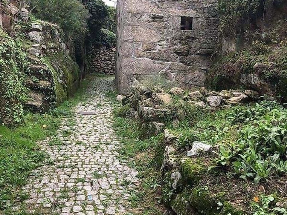 Villa i Trancoso, Guarda - foto 4