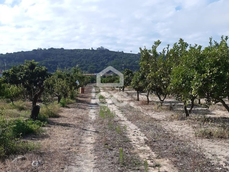 Helårsgrund i Palmela, Setubal - foto 1