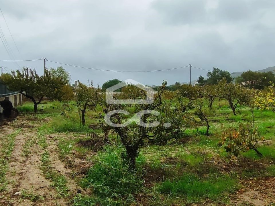 Helårsgrund i Palmela, Setubal - foto 5