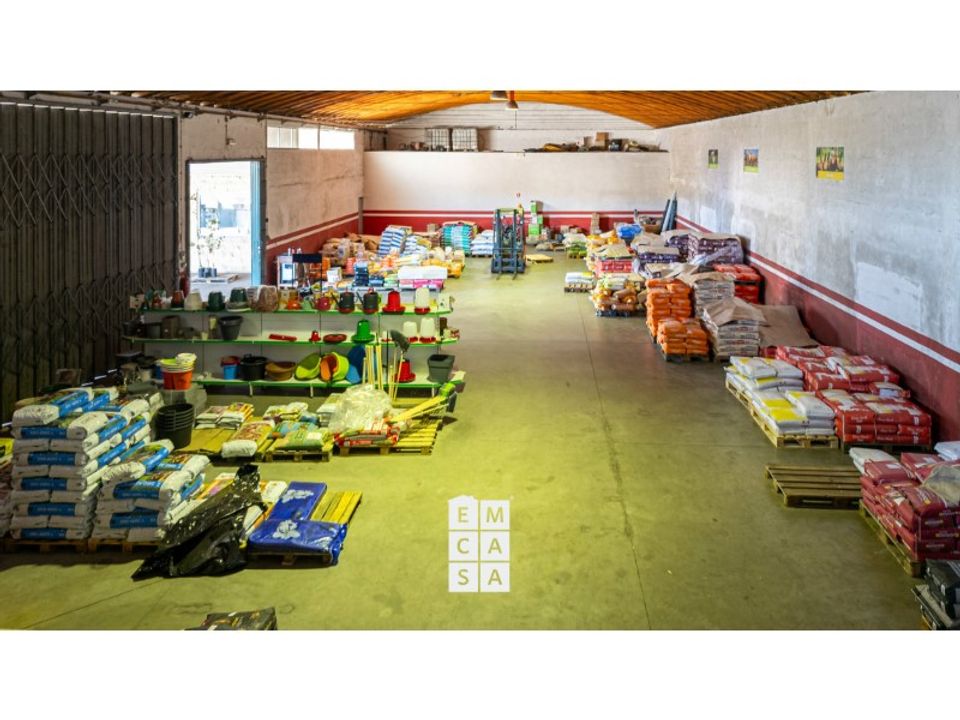 Bungalow i Oliveira de Azemeis, Aveiro - foto 4