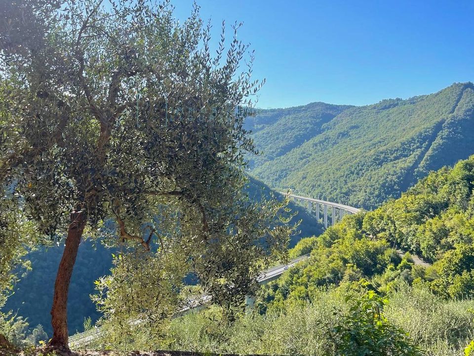 Landejendom i Pieve di Teco, Imperia - foto 1