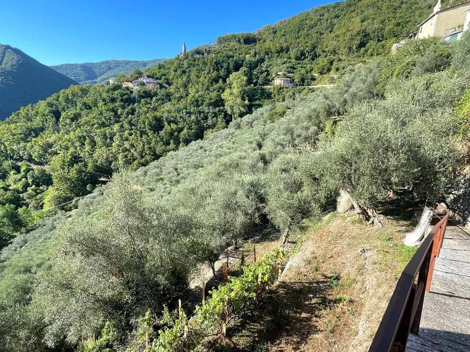 Landejendom i Pieve di Teco, Imperia - foto 2