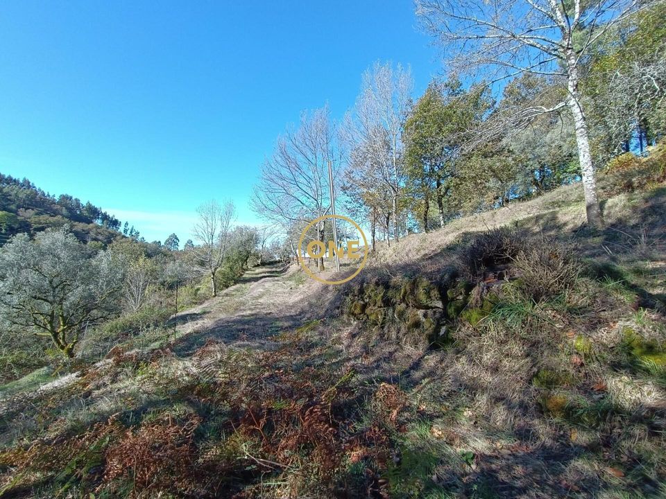 Helårsgrund i Terras de Bouro, Braga - foto 5