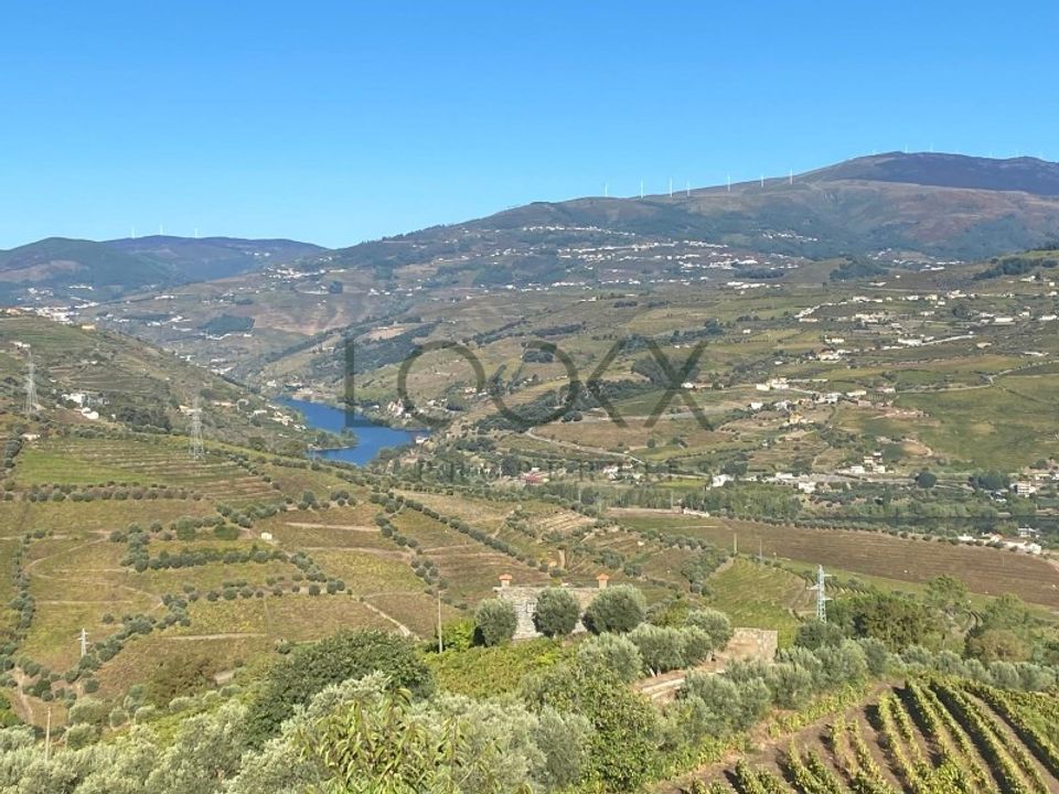 Farm i Lamego, Viseu - foto 1