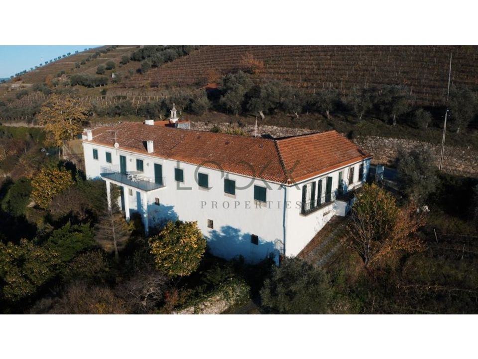 Farm i Lamego, Viseu - foto 3