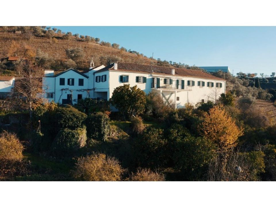 Farm i Lamego, Viseu - foto 4