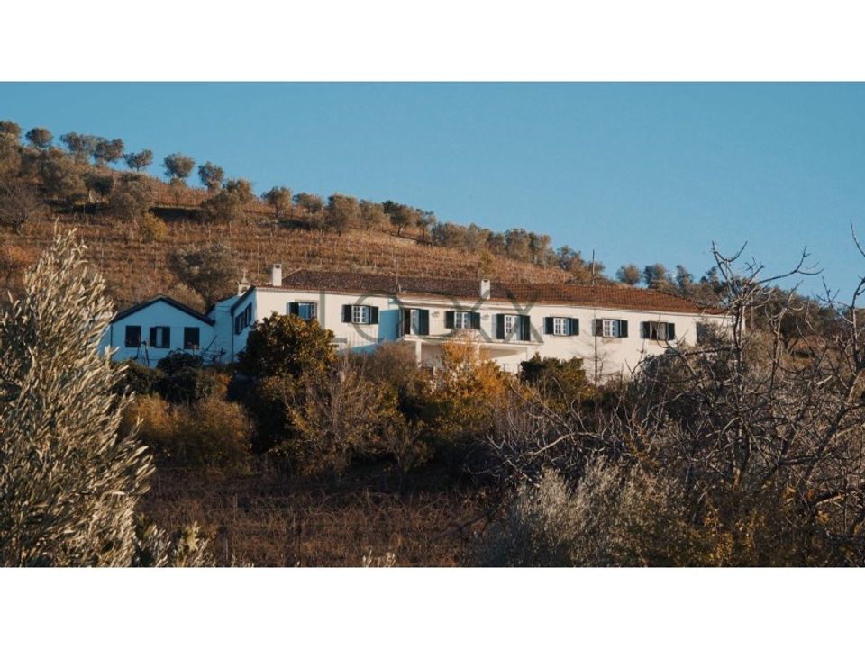 Farm i Lamego, Viseu - foto 5