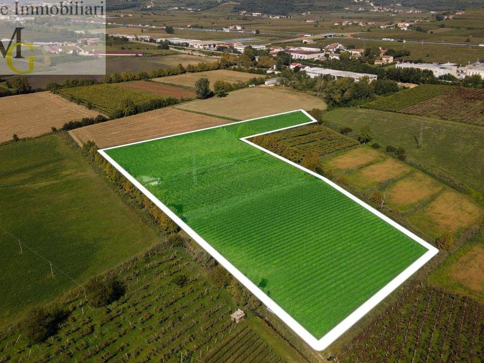 Helårsgrund i Colognola ai Colli, Verona - foto 1