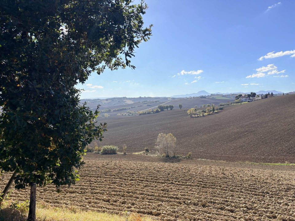 Landejendom i Belvedere Ostrense, Ancona - foto 1