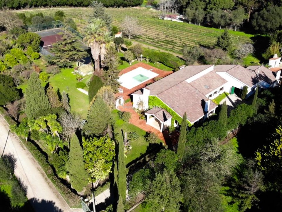 Landejendom i Brejos de Azeitao, Setubal - foto 1