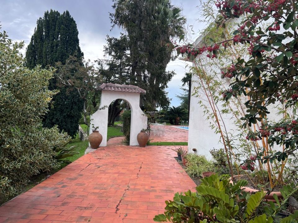 Landejendom i Brejos de Azeitao, Setubal - foto 3