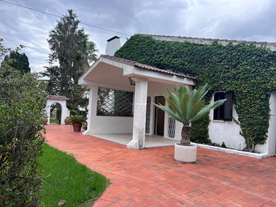 Landejendom i Brejos de Azeitao, Setubal - foto 4