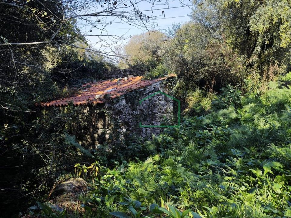 Ruinere i Caminha, Viana do Castelo - foto 1