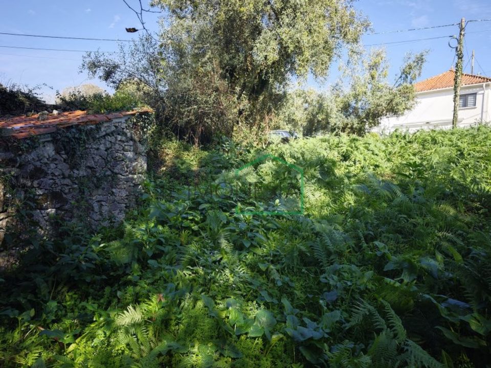 Ruinere i Caminha, Viana do Castelo - foto 2