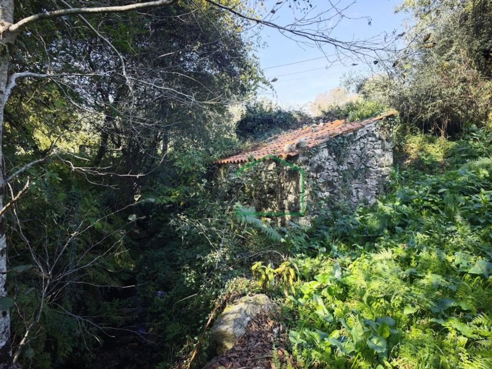 Ruinere i Caminha, Viana do Castelo - foto 3